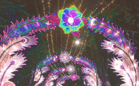 ������(ji��)�³��Z��'���i����