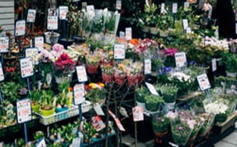 ��(gu��)�⻨���b��Ч���D