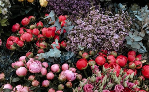 鮮花店采購(gòu)合同樣本