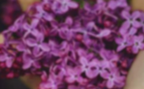 2023���(gu��)�Ļ�����Z(y��)250��