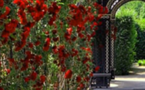 菽莊花園導游詞8篇