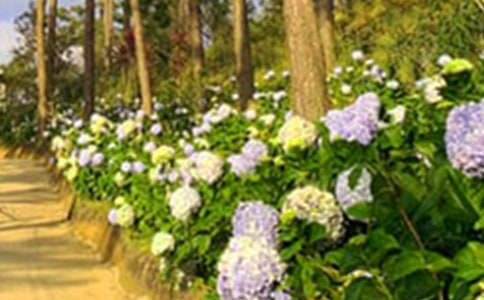 �������f���@�����~