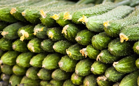 �S�ϵĠI(y��ng)�B(y��ng)�r(ji��)ֵ��