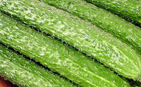 黃瓜的營養(yǎng)價(jià)值