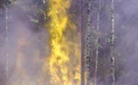 ��ͯ�������(z��i)ԓ��ô�k