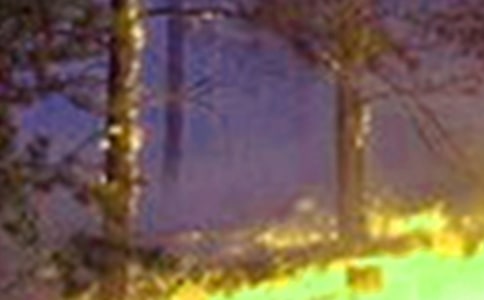 火災(zāi)捐款倡議書怎么寫