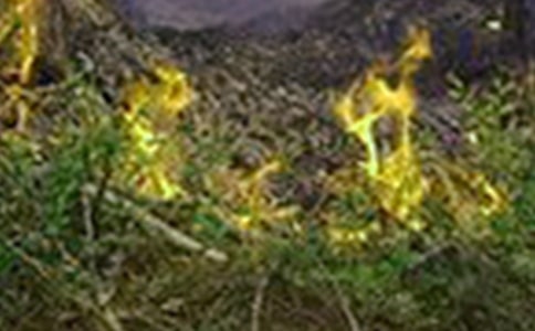 渤海灣客滾船火災(zāi)事故原因分析及對策