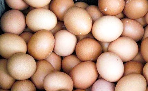 黃花菜炒雞蛋的家常做法大全