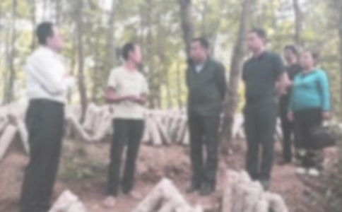 違紀(jì)檢討書(shū)范文