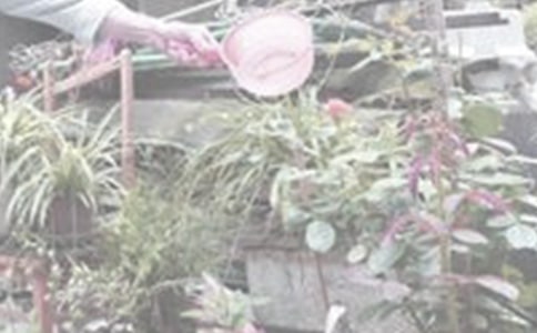 �͋�����������