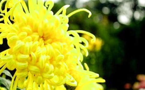 �茑�ջ������ģ����x��