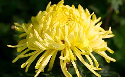 �茑�ջ��ľ��Ӵ�ȫ