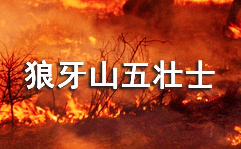 狼牙山五壯士讀書(shū)心得