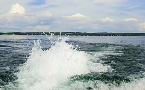 記憶中的一朵浪花作文9篇【薦】