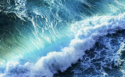 你是浪花我是魚