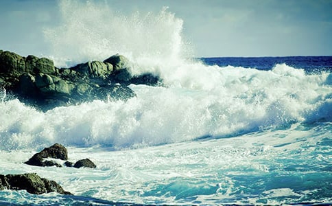 記憶中的一朵浪花初中作文2篇