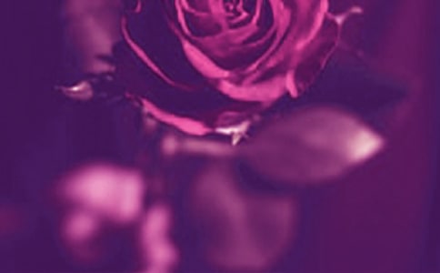 ���Ǽ����̵��������Z�����x200�䣩