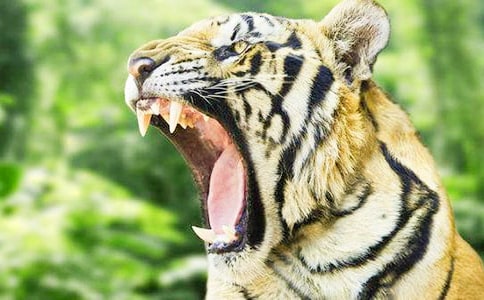 ���廢��(ji��)��ԭ���B(t��i)�ϻ�����