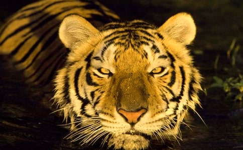 ���B�ϻ�����(d��o)���~����