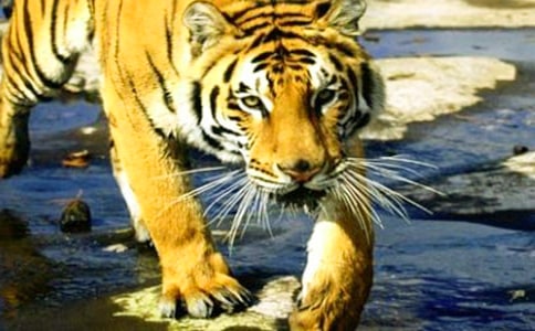 (����)���B�ϻ�������