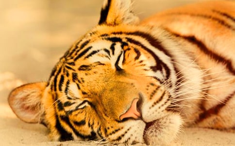 ���B�ϻ������ġ�ͨ�á�