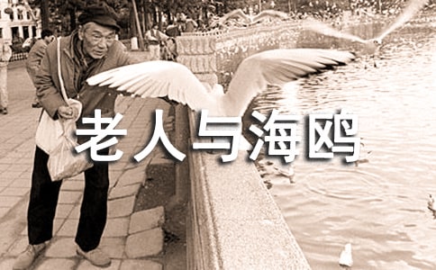 �����c���t�x���Pӛ