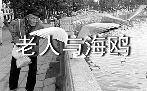 �������c���t��С�W(xu��)�x���100��