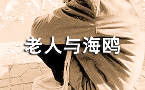 老人與海鷗讀后感100字