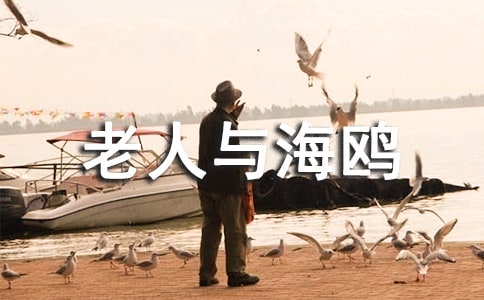 老人與海鷗讀書筆記550字