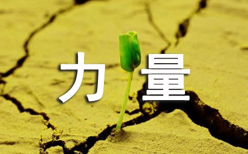 拳擊力量訓(xùn)練技巧