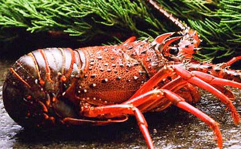 �������ʳ��С���r