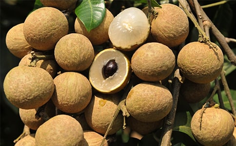 �����I�u��ͬ