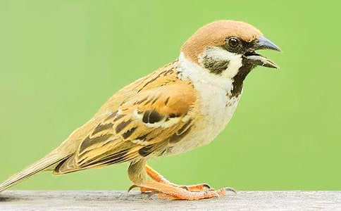 ��ȸ�w�M(j��n)�������Ъ���Z