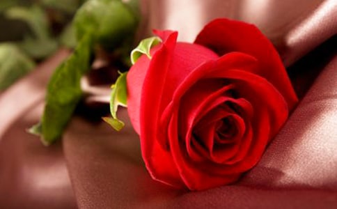 ��ô���Lõ�廨�Ĳ廨�ĉ���