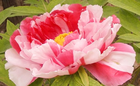 �������ĵ���@�����~3ƪ