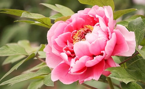 ��ĵ����ě_�ݷ���