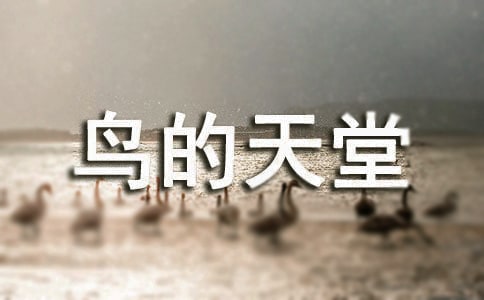 鳥的天堂導(dǎo)游詞100字
