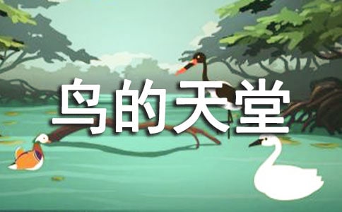 鳥的天堂導(dǎo)游詞優(yōu)秀