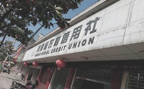 農(nóng)村信用社職員自我鑒定