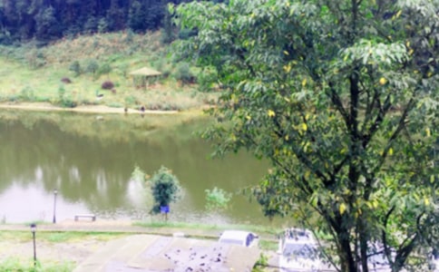 最新的農(nóng)家樂策劃方案參考