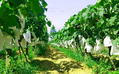 �r(n��ng)�Ҙ��߄���