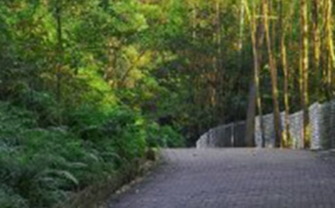 ��ɽ��Ӳ߄�����������