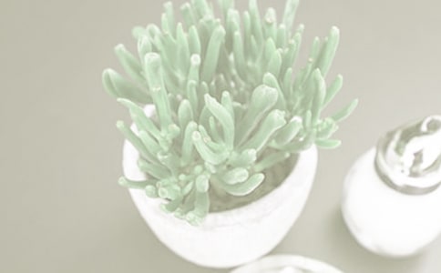 ���ԗ�����ô�B(y��ng)-���ԗ�����B(y��ng)ֳ����