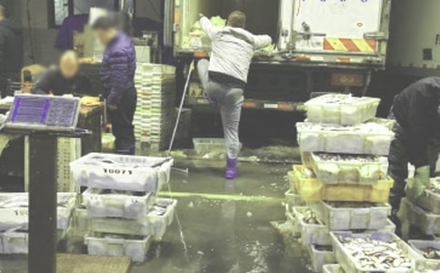 包包批發(fā)廣告語8篇