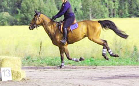 �����A���T�R������300�ּ��\ʮƪ