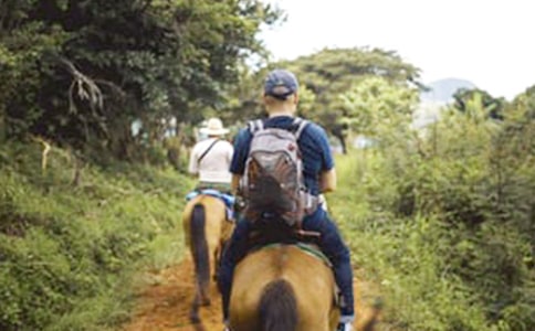 【精選】騎馬作文集合6篇