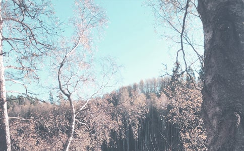 孕婦秋季如何穿衣