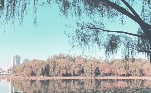 �＾�L(f��ng)��zӰ��ʲô����