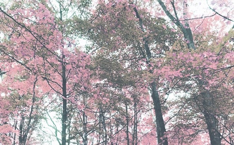 2015秋季初一學(xué)生期末評(píng)語集錦