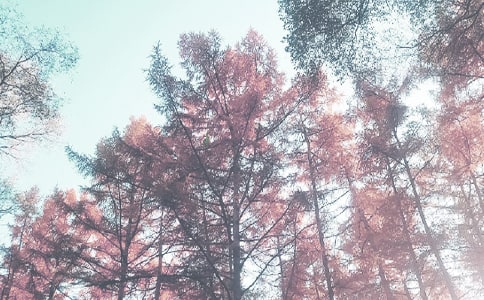 �＾�L(f��ng)��zӰ����